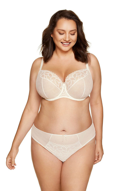 Embroidered Tulle Brief — product view 2