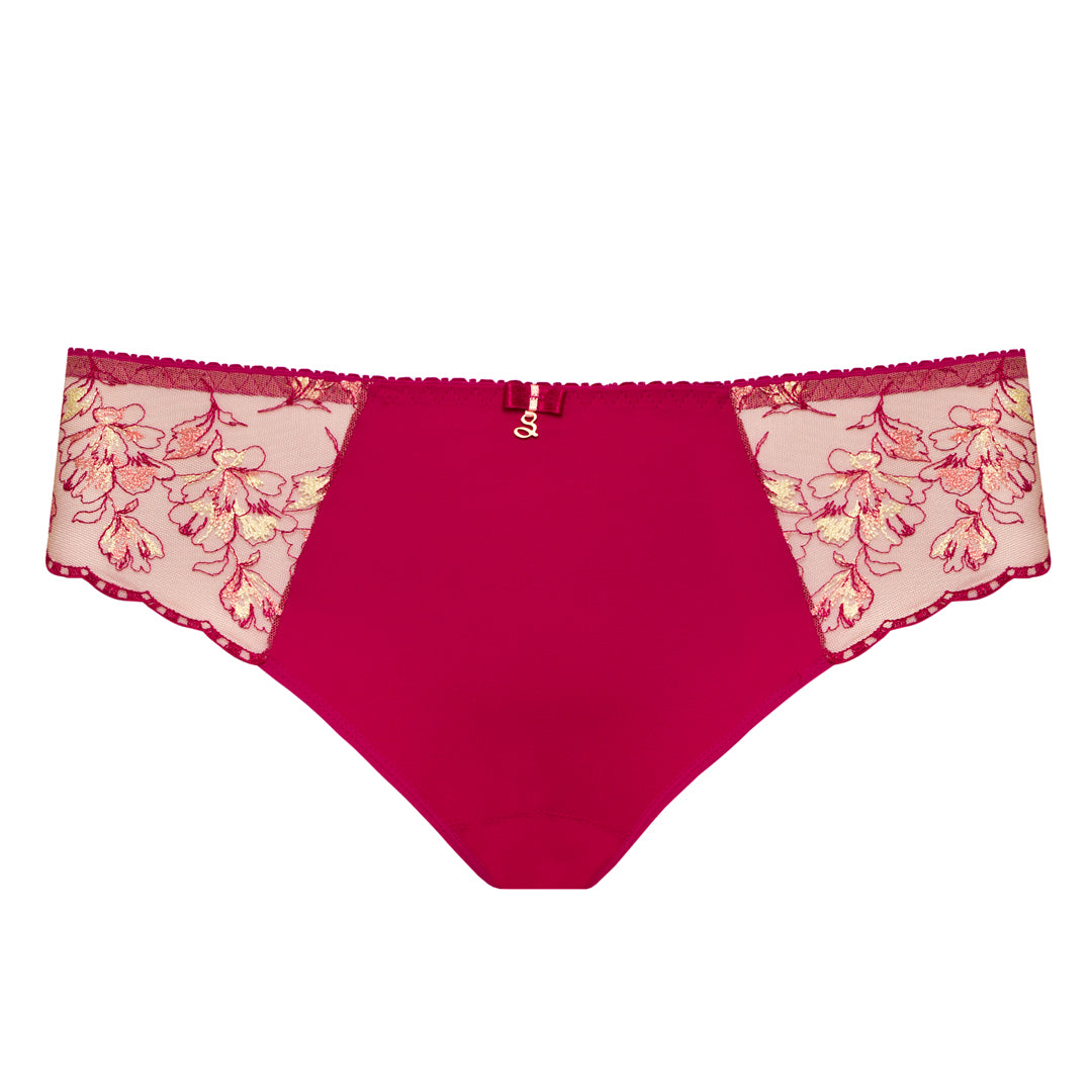 Samanta Daniela Red Sheer Mesh Tulle Embroidered Bikini Panty