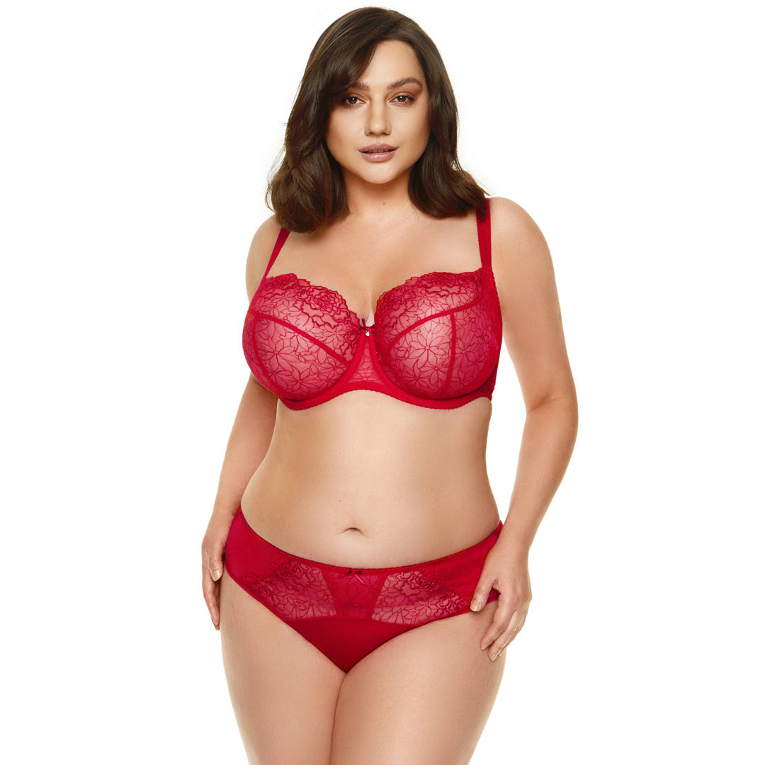 Gorteks Pamela Red Semi Sheer Low Rise Bikini Panty
