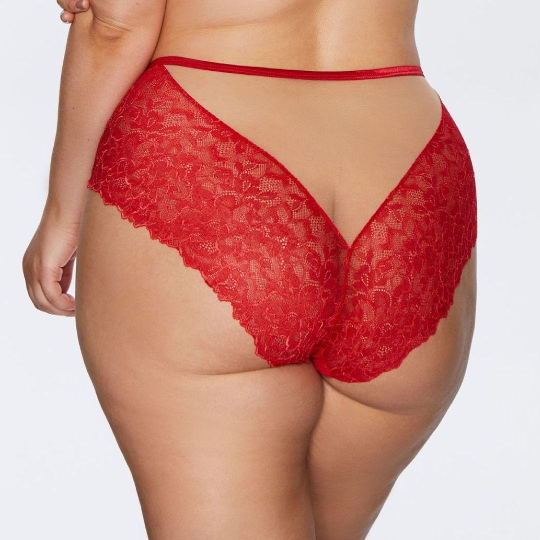 Kinga Mind Love Soft Lace High Waist Brief Panty