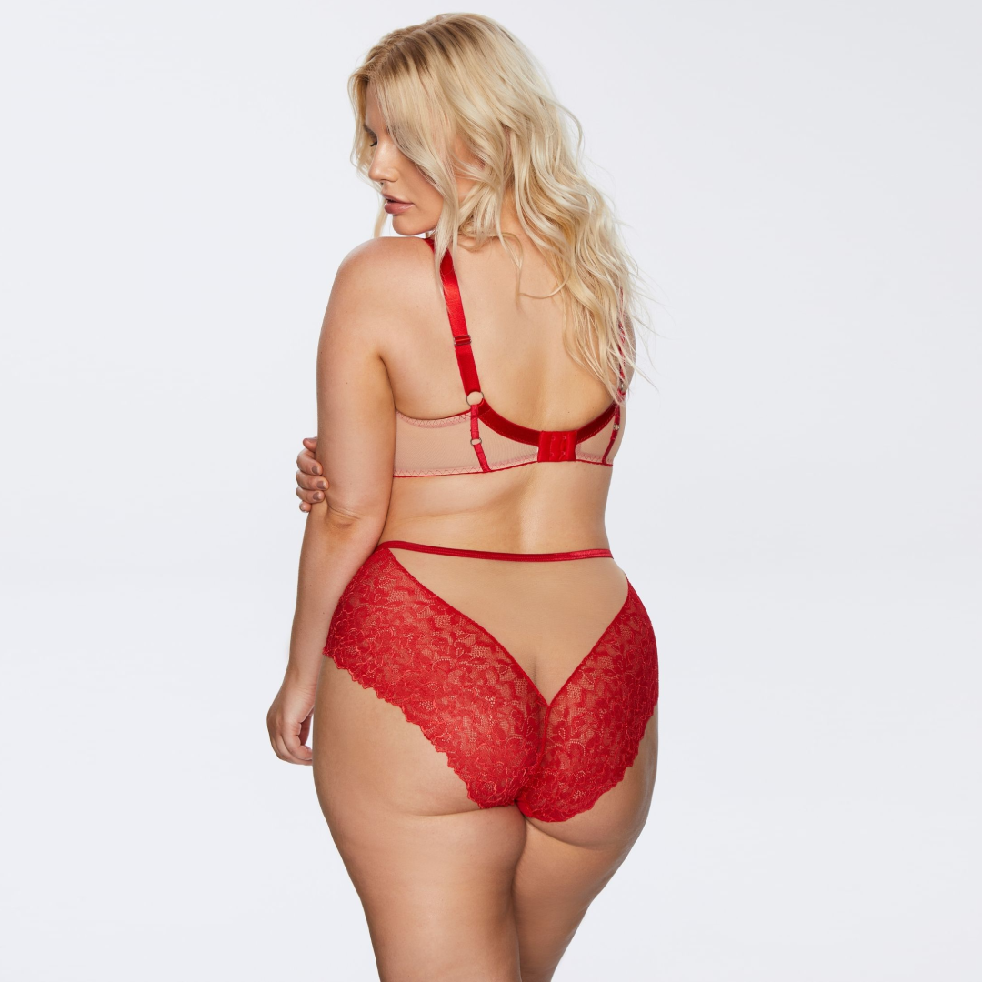 Kinga Mind Love Soft Lace High Waist Brief Panty