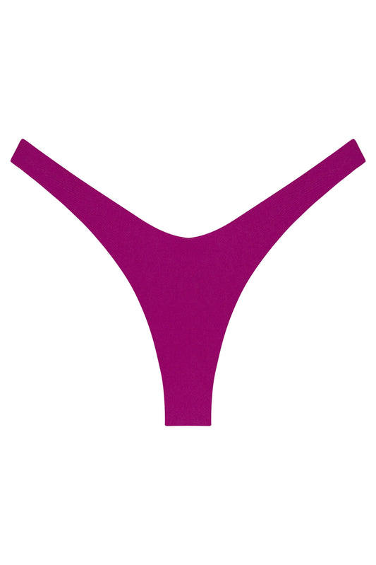 Ludisia Bottom