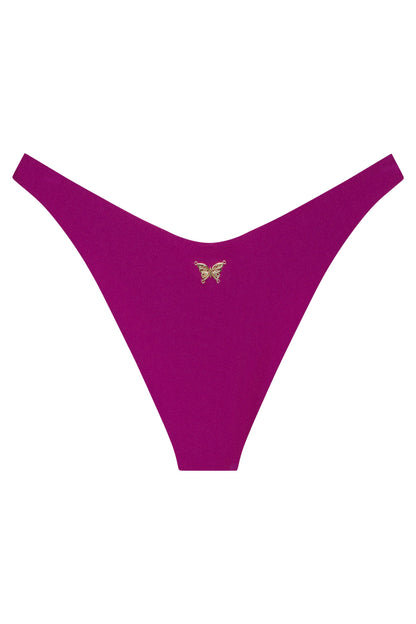 Ludisia Bottom