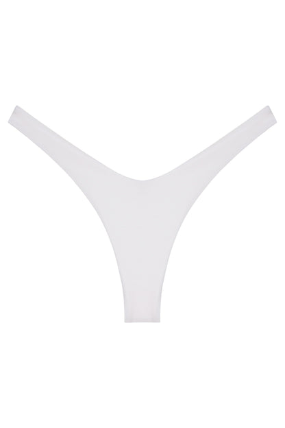 Ludisia Bottom
