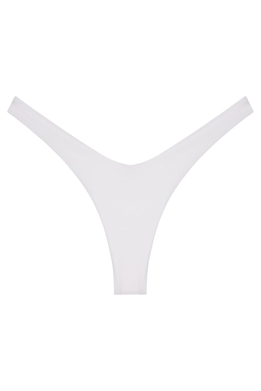Ludisia Bottom