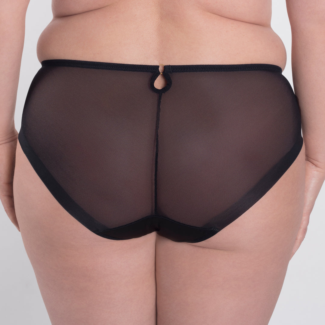 Samanta Perla Black Sheer Mesh Tulle Embroidered Brief Panty