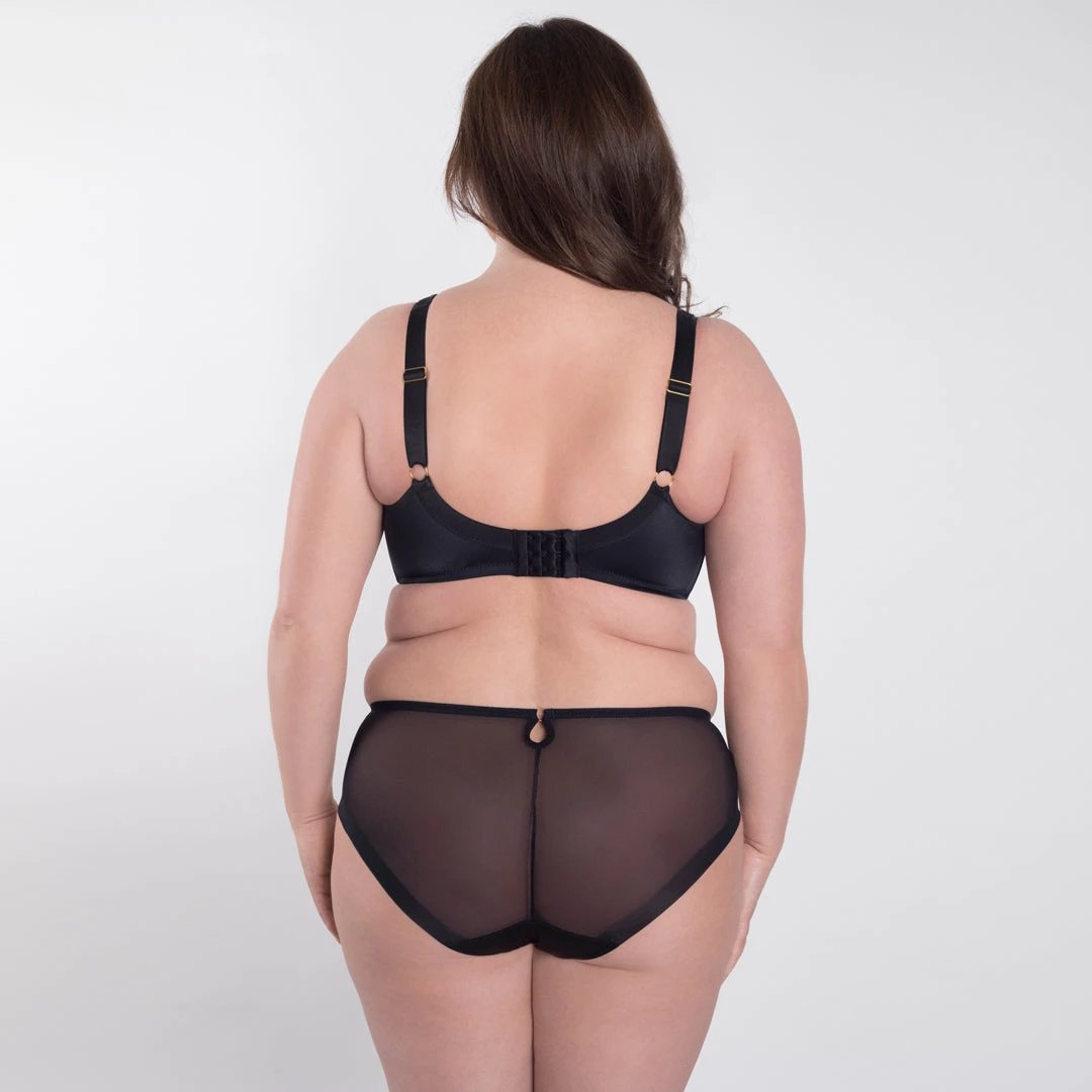 Sheer Mesh Tulle Embroidered Brief Panty Perla Black by Samanta Lingerie