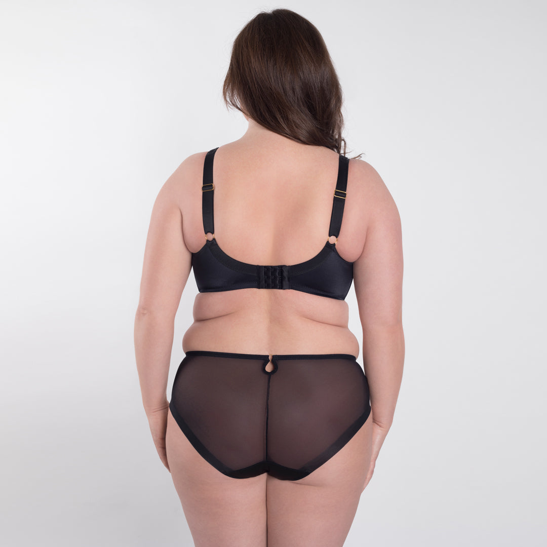 Samanta Perla Black Sheer Mesh Tulle Embroidered Brief Panty