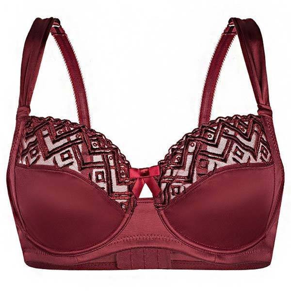Sassa Bordeaux Semi - Sheer Full Figure Bra - Ansley Effect