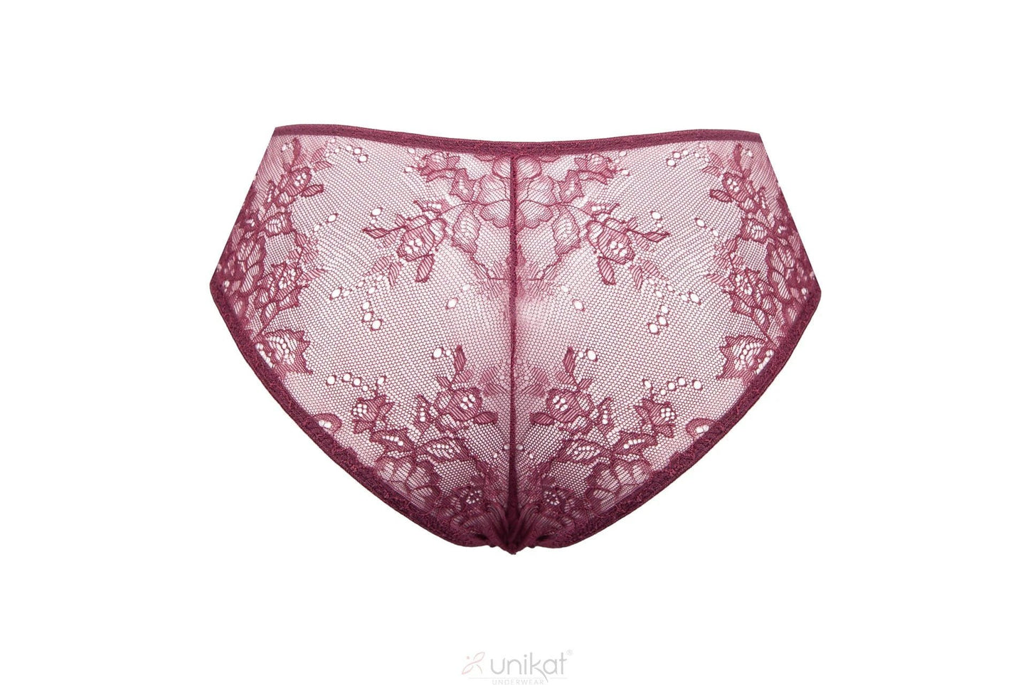 Sheer Mesh Lace Low Rise Bikini Panty Caro by Unikat Lingerie