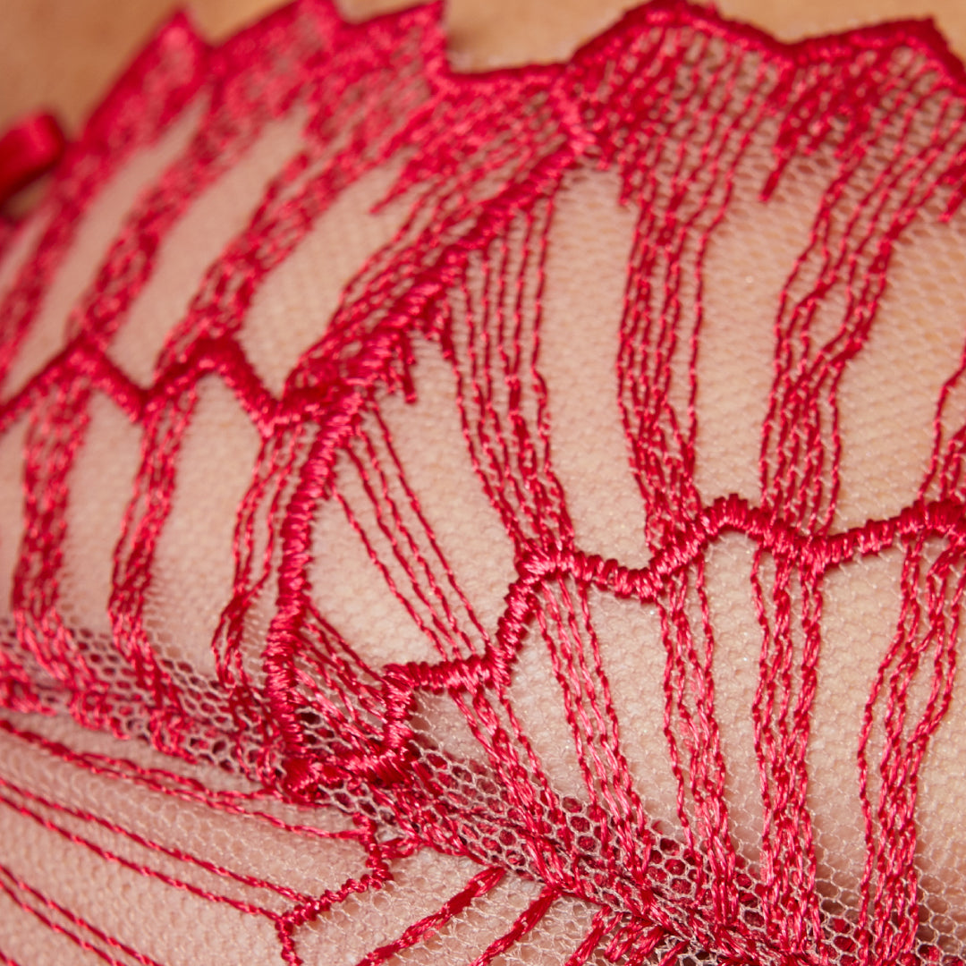 Gorteks Sierra Sheer Mesh Embroidery Full Coverage Bra