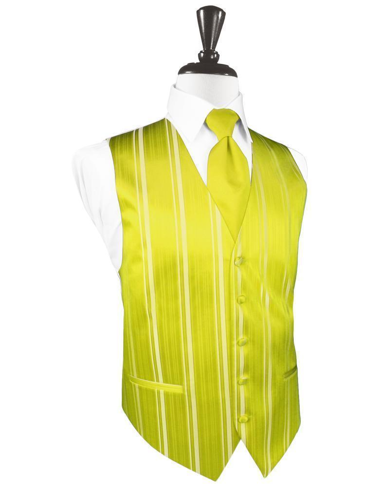 Striped Satin Tuxedo Vest 3