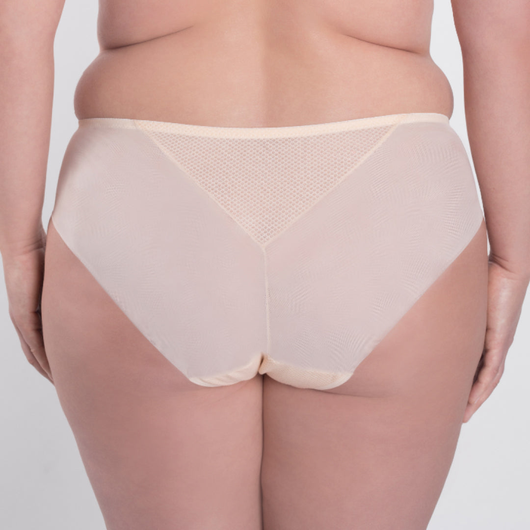 Samanta Valeria Biscuit Sheer Mesh Tulle Embroidered Brief Panty